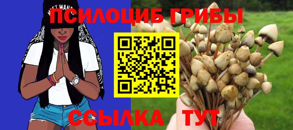 Галлюциногенные грибы Psilocybine cubensis Красный Сулин