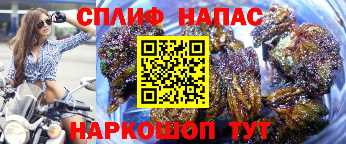 Бошки Шишки семена  Бошки Шишки Bruce Banner  Канабис SATIVA & INDICA  Вход с VPN  Красный Сулин 